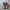 Nike Futurist Sneakers Pria white brown photo 4