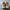 Nike Futurist Sneakers Pria white brown photo 5