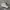 Reebok Casual Casual shoe Pria white photo 1