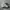 Adidas Casual Casual shoe Pria white black photo 1
