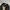 Under Armour Sportswear Tracksuit Pria black photo 6