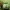New Balance Casual Sneakers Pria green brown photo 8