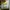 New Balance Casual Sneakers Pria green yellow photo 8