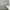 Avirex Sportswear T-shirt Pria gray photo 4