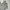 Avirex Sportswear T-shirt Pria gray photo 1