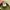 Casual Hat Pria green photo 5