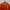 Casual Windbreaker Pria orange photo 3