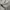 have a good time Casual Sweatshirt Pria gray photo 3