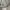 have a good time Casual Sweatshirt Pria gray photo 4