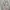Have A Good Time Casual Sweatshirt Pria Gray