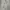 have a good time Casual Sweatshirt Pria gray photo 1