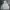 Carhartt Streetwear Luxury Sweater Pria Gray