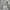 Stussy Casual Sweatshirt Pria gray photo 2