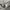 Stussy Casual Sweatshirt Pria gray photo 4