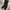 Nike Minimalist Casual Casual pants Pria black photo 3