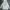 Feltics Luxury Minimalist Sweater Pria white photo 1