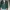 Champion Vintage Streetwear Harrington jacket Pria green photo 2