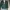 Champion Vintage Streetwear Harrington Jacket Pria Green