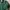 Champion Vintage Streetwear Harrington jacket Pria green photo 7