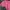 Vintage Y2K T-shirt Wanita pink photo 2