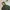 Uniqlo Streetwear Avant Garde Fleece Pria green tan photo 3