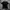 Cotton On Vintage Streetwear T-shirt Pria black photo 1
