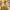 Vintage Casual Going out dress Wanita cream yellow photo 1