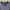 American Eagle Avant Garde Casual Wanita navy photo 3