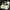 Crocs Minimalist Futurist Sandals & Slide Pria Tan Cream