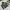 The North Face Streetwear Casual Hoody Pria green photo 1
