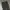 Streetwear Gorpcore Pria gray photo 4