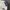 Streetwear Gorpcore Pria gray photo 3