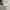 Yves Saint Laurent YSL Streetwear Luxury Pria multicolor photo 5