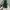 Pedro Casual Handbag Wanita green photo 3