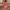 Sportswear Kids pink photo 3