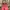 Sportswear Kids Pink