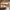 Le Specs Sportswear Indie Pria multicolor gold photo 8