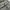 Carhartt Vintage Streetwear Baju muslim Pria green photo 6