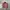Carhartt Vintage Streetwear Denim jacket Pria pink photo 1