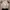 Luxury Evening dress Wanita white black photo 4