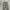 Carhartt Vintage Streetwear Pria green photo 8