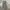 Carhartt Vintage Streetwear Pria green photo 1