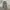 Carhartt Vintage Streetwear Pria Green