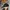 New Era Vintage Sportswear Hat Pria black orange photo 3