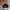 New Era Vintage Sportswear Hat Pria black orange photo 4