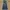 NII Vintage Jeans Pria blue photo 2