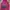 Adidas Sportswear Sweater Pria pink photo 1
