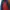 The North Face Sportswear Puffer Jacket Pria Navy Red
