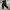 Nike Sportswear Legging Pria black photo 2