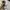 Skechers Sportswear Sneakers Pria white black photo 5